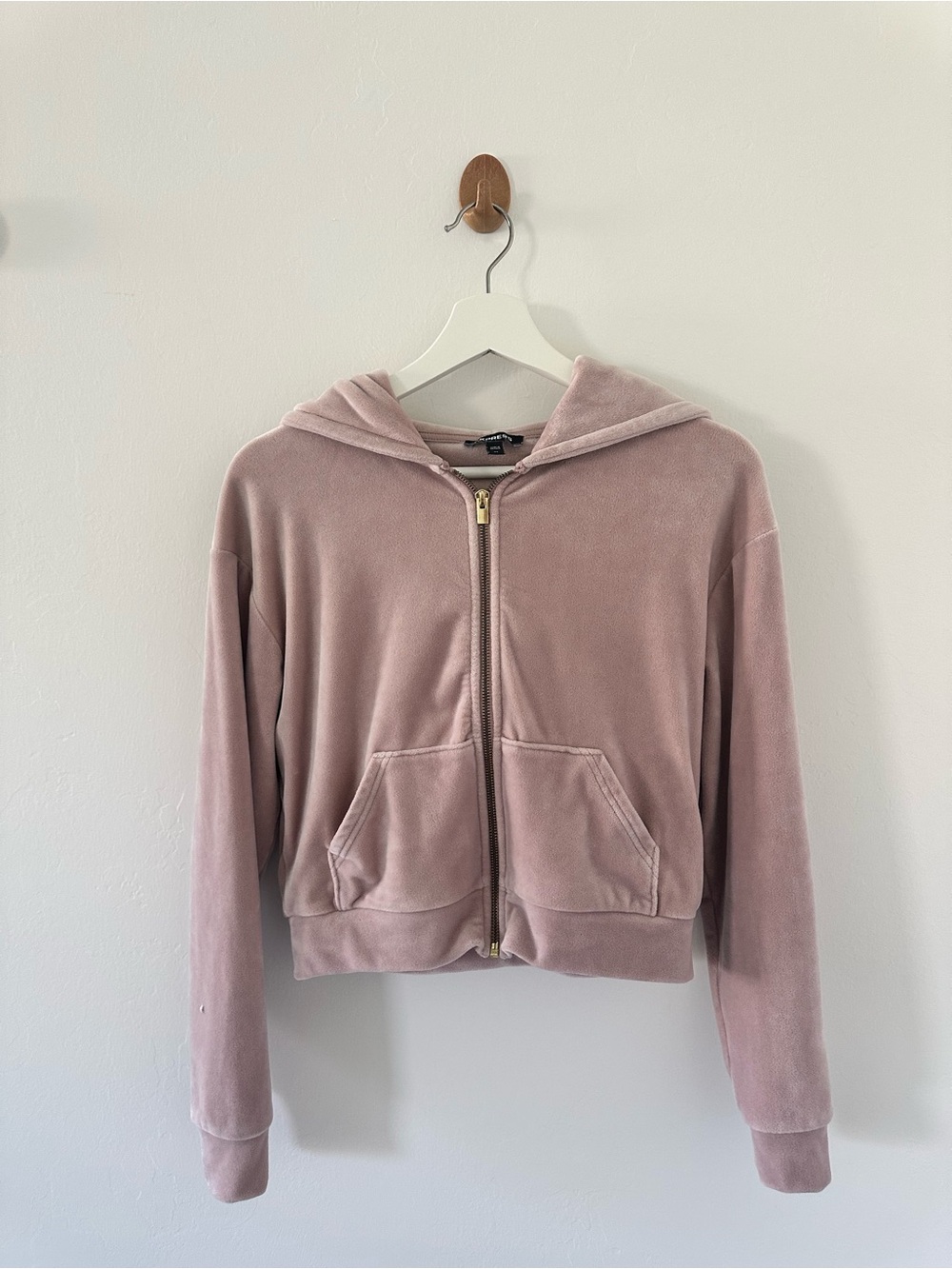 Express Cropped Velour Zip Hoodie in Dusty Rose